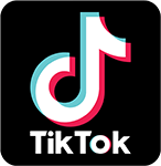 TikTok-Logo für die Video Gallery